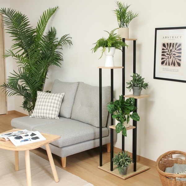 �����ǰ� �ǥ����ץ쥤������� ��� BK ���ʥ�����63761 ��������������ꎥ����󥻥��ԲĎ��̳�ƻ����Υ�������Բġ� -������-