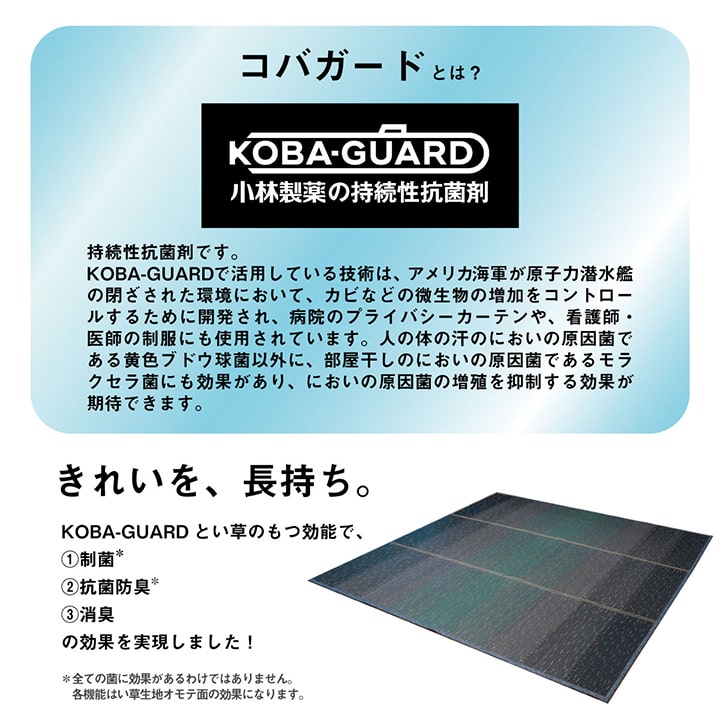 �����ҥ� �饰 �������� ��³�����ݺ� KOBA-GUARD ���� �����ɽ�  ���ߤ� �Կ��� �� ���� ����ǡ������ �֥饦�� ��190��300cm 1060470064804��������Բġۡ��̳�ƻ����Υ��������Բġ�-��������-