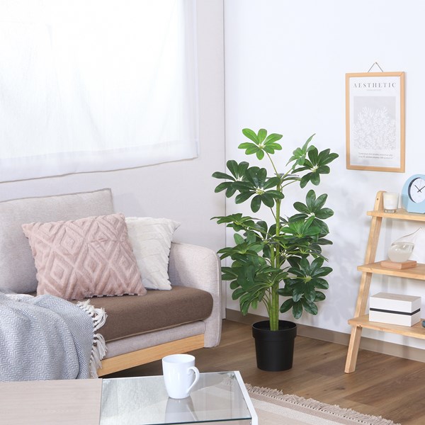 4953980526939 不二貿易 観葉植物 ヤドリフカノキ 216 17281 商品