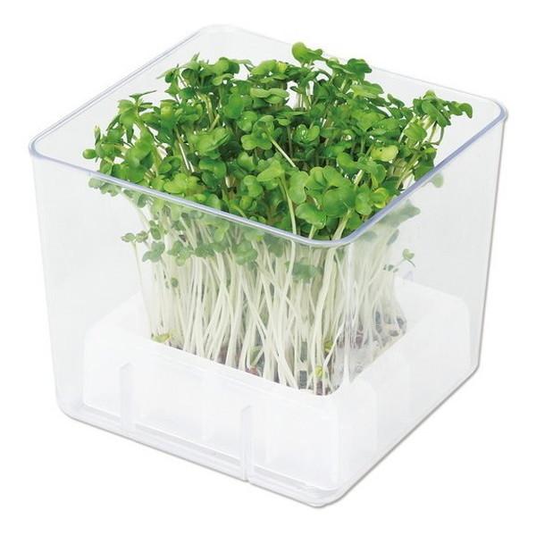 ARTEC アーテック 理科教材・備品 栽培・キット・観察 スプラウト栽培キット カイワレダイコン(夏工) 商品番号 102980 お取り寄せ