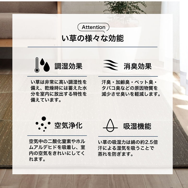 �����ҥ� �饰 �������� ��³�����ݺ� KOBA-GUARD ���� �����ɽ�  ���ߤ� �Կ��� �� ���� ����ǡ������ ����� ��190��300cm 1060470204804��������Բġۡ��̳�ƻ����Υ��������Բġ�-��������-