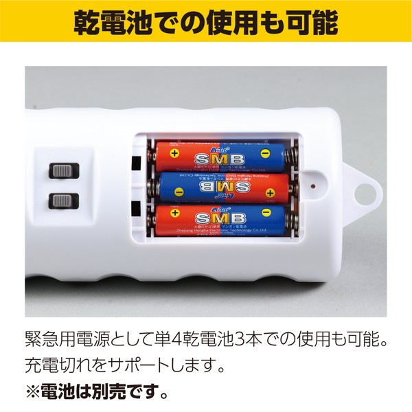 ARTEC �����ƥå� �ɺҥ����ʥ�LED�饤�� ����¾���� 95806 �ڥ���󥻥��Բġ��̳�ƻ����Υ�������Բġ�-��������-