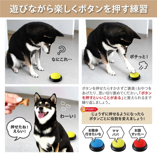 ARTEC �����ƥå� �ڥåȤȲ��åܥ��� ����¾ 34001 �ڥ���󥻥��Բġ��̳�ƻ����Υ�������Բġ�-��������-