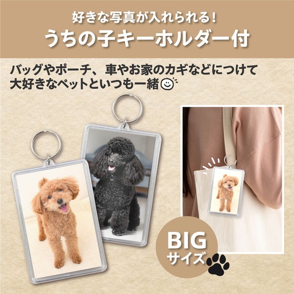 ARTEC �����ƥå� �ڥåȤȲ��åܥ��� ����¾ 34001 �ڥ���󥻥��Բġ��̳�ƻ����Υ�������Բġ�-��������-