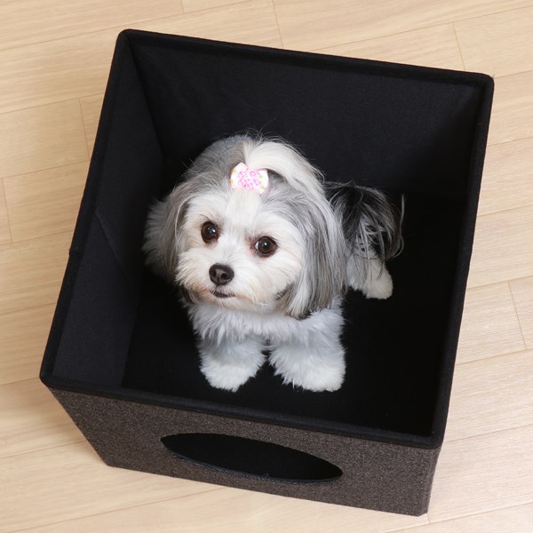 不二貿易 ペットハウスキューブ2段 GY/BK FB-GW11 商品コード53713【代引・日時指定・キャンセル不可・北海道沖縄離島配送不可】 -お取リ寄せ-