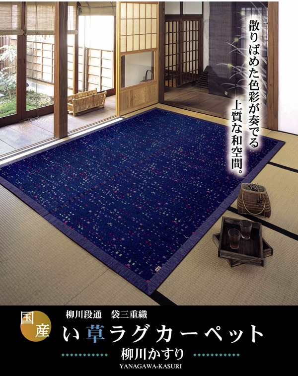 ¥¤¥±¥Ò¥³ ½ã¹ñ»º ÌøÀîÃÊÄÌ »°½Å¿¥ ¤¤Áð¥é¥°¥«¡¼¥Ú¥Ã¥È ¡ØÌøÀ¤¹¤ê¡Ù ¥Ö¥ë¡¼ Ìó191¡ß250cm 1051090043904¡ÚÂå°ú¤ÉԲġۡÚË̳¤Æ»²ÆìÎ¥Åç¤ÏÇÛÁ÷ÉԲġÛ-¤ª¼è¤ê´ó¤»ÉÊ-