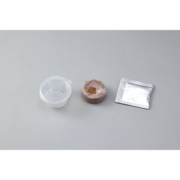 Artec アーテック プチベジ ルッコラ 栽培 家庭菜園 栽培キット 野菜 やさい キャンセル不可 北海道沖縄離島配送不可 お取り寄せ アプライドネット 通販 Artec アーテック プチベジ ルッコラ 栽培 家庭菜園 栽培キット 野菜 やさい キャンセル不可 北海道沖縄離島配送不可 お取り寄せ アプライドネット 通販