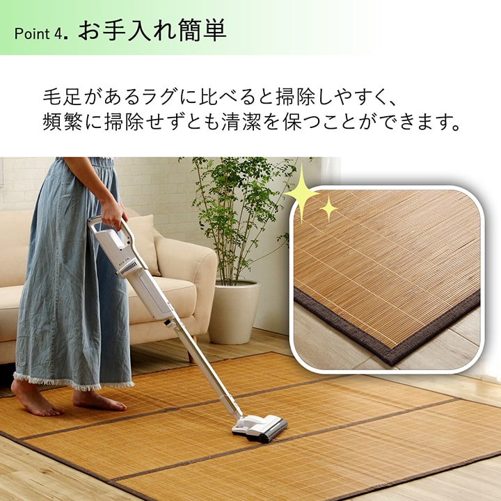 �����ҥ� �Х�֡� �� �饰 �����ڥå� ΢���դ� ŷ���Ǻ� ���� �����ɽ� �ý� �������� ���ݽ� ��ñ �䴶 �䤿�� �� �Ҥ��� �֥饦�� ��180��240cm 1100280064622��������Բġۡ��̳�ƻ����Υ��������Բġ�-��������-