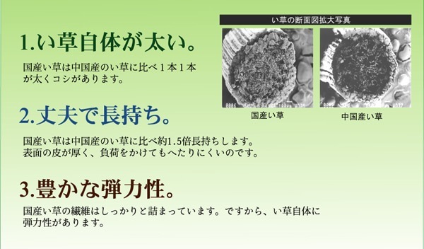 ¥¤¥±¥Ò¥³ ½ã¹ñ»º ÌøÀîÃÊÄÌ »°½Å¿¥ ¤¤Áð¥é¥°¥«¡¼¥Ú¥Ã¥È ¡ØÌøÀ¤¹¤ê¡Ù ¥Ö¥é¥¦¥ó Ìó191¡ß250cm 1051090063904¡ÚÂå°ú¤ÉԲġۡÚË̳¤Æ»²ÆìÎ¥Åç¤ÏÇÛÁ÷ÉԲġÛ-¤ª¼è¤ê´ó¤»ÉÊ-