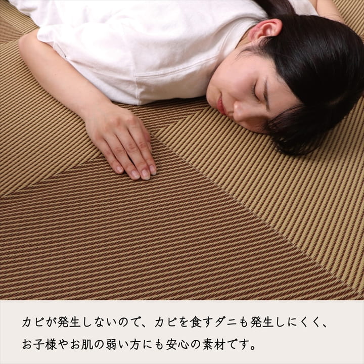 �����ҥ� ������ ���� ������ �� �����ڥå� ���� ���ݥ��ץ졼�б� �ߵ� �饰 ��ʪ �ʥ����륹������ �����ȥɥ� �쥸�㡼 �ڥå� �֥饦�� ���ʹ�1������87��174cm�� 1090270000802��������Բġۡ��̳�ƻ����Υ��������Բġ�-��������-