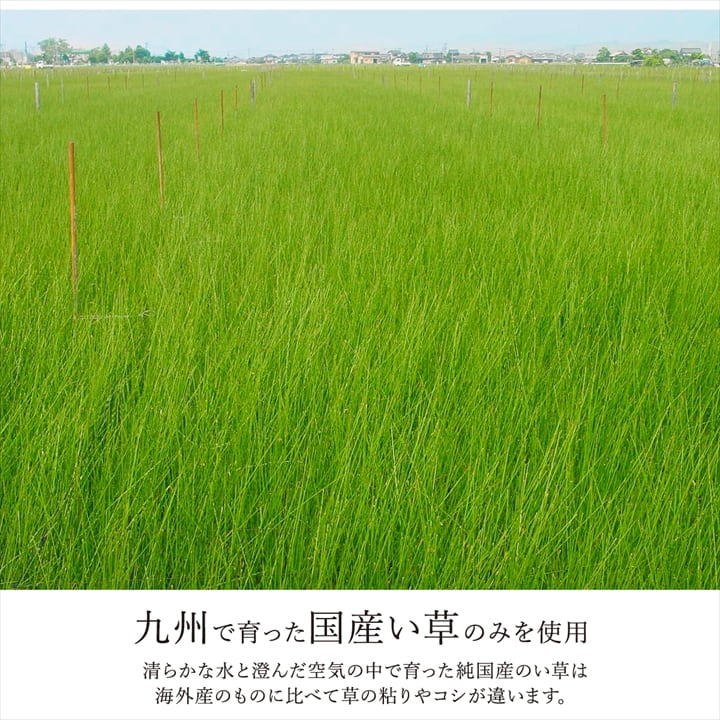 �����ҥ� �����ڥå� ���� ������ �� �ߵ� �饰 ��ʪ �ʥ����륹������ ���� �ý� �����ɽ� �ɱ� �Ծ� �֥�å� ���ʹ�2������174��174cm�� 1080380030202��������Բġۡ��̳�ƻ����Υ��������Բġ�-��������-