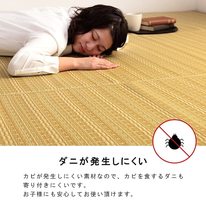 イケヒコ 洗える カーペット ダイニング ラグ 敷詰 丈夫 日本製 国産 除菌スプレー対応 ござ アウトドア ペット グリーン 団地間6畳(約255×340cm) 1090030120502【代引き不可】【北海道沖縄離島は配送不可】-お取り寄せ品-