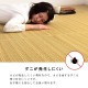 イケヒコ 洗える カーペット ダイニング ラグ 敷詰 丈夫 日本製 国産 除菌スプレー対応 ござ アウトドア ペット グリーン 団地間6畳(約255×340cm) 1090030120502【代引き不可】【北海道沖縄離島は配送不可】-お取り寄せ品-