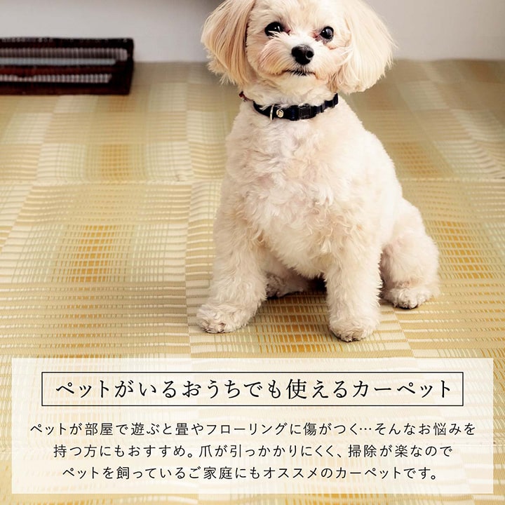 �����ҥ� ������ ���� ������ �� �����ڥå� ���� ���ݥ��ץ졼�б� �ߵ� �饰 ��ʪ �����ȥɥ� �쥸�㡼 �ڥå� ���꡼�� ���ʹ�10������435��352cm�� 1090580121402��������Բġۡ��̳�ƻ����Υ��������Բġ�-��������-