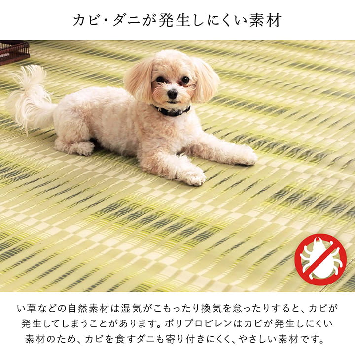 �����ҥ� ������ ���� ������ �� �����ڥå� ���� ���ݥ��ץ졼�б� �ߵ� �饰 ��ʪ �����ȥɥ� �쥸�㡼 �ڥå� ���꡼�� ���ʹ�10������435��352cm�� 1090580121402��������Բġۡ��̳�ƻ����Υ��������Բġ�-��������-