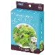 ARTEC アーテック お家で楽しく栽培キット ベビーリーフ 栽培 家庭菜園 栽培キット 野菜 102932 【キャンセル不可・北海道沖縄離島配送不可】 -お取り寄せ-