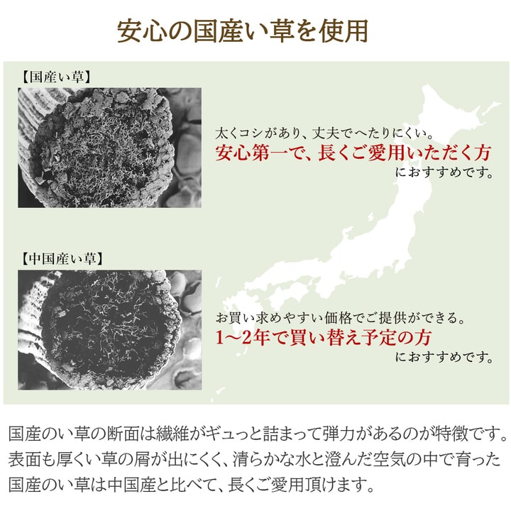 イケヒコ ラグ マット 国産 日本製 い草 高級感 エレガンス 消臭 自然素材 滑り止め加工 不織布 パープル 長方形 約191×250cm 1051580233904【代引き不可】【北海道沖縄離島は配送不可】-お取り寄せ品-