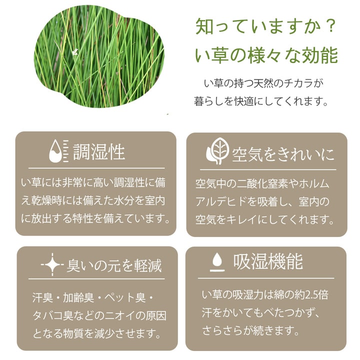 イケヒコ ラグ マット 国産 日本製 い草 高級感 エレガンス 消臭 自然素材 滑り止め加工 不織布 パープル 長方形 約191×250cm 1051580233904【代引き不可】【北海道沖縄離島は配送不可】-お取り寄せ品-