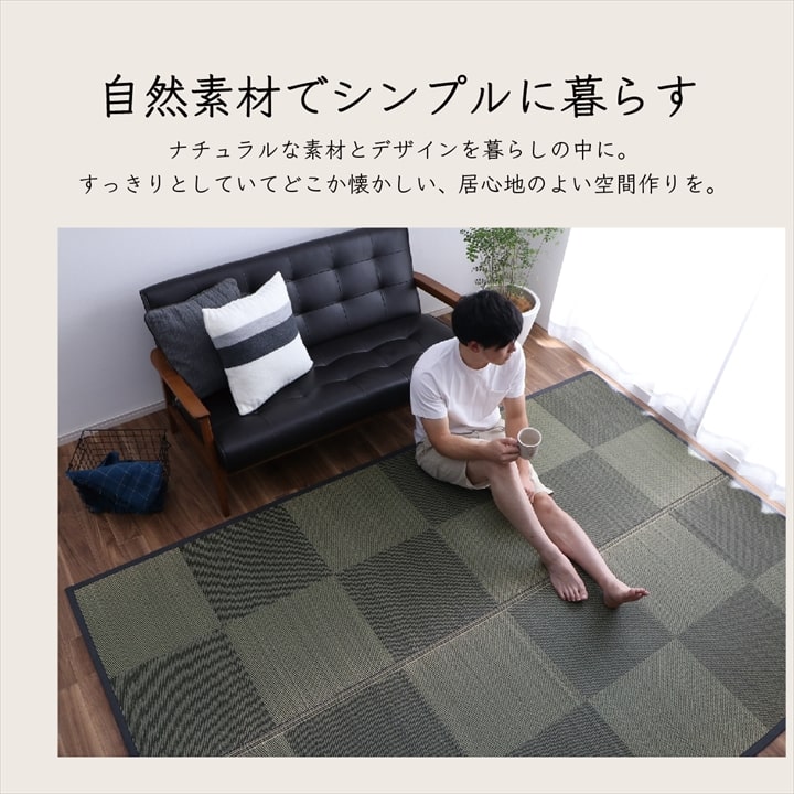 �����ҥ� �����ڥå� ���� ������ �� �ߵ� �饰 ��ʪ �ʥ����륹������ ���� �ý� �����ɽ� �ɱ� �Ծ� �֥�å� ���ʹ�3������174��261cm�� 1080380030302��������Բġۡ��̳�ƻ����Υ��������Բġ�-��������-