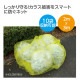 ARTEC アーテック カラス避けネット 2.0×3.0m 雑貨 35220 【キャンセル不可・北海道沖縄離島配送不可】-お取り寄せ品-