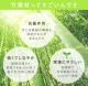 �����ҥ� �饰 �����ڥå� ̵�� ����ץ� �Х�֡� �� ��DX�ե������� ���꡼�� ��95��150cm 1100290124001��������Բġۡ��̳�ƻ����Υ��������Բġ�-��������-