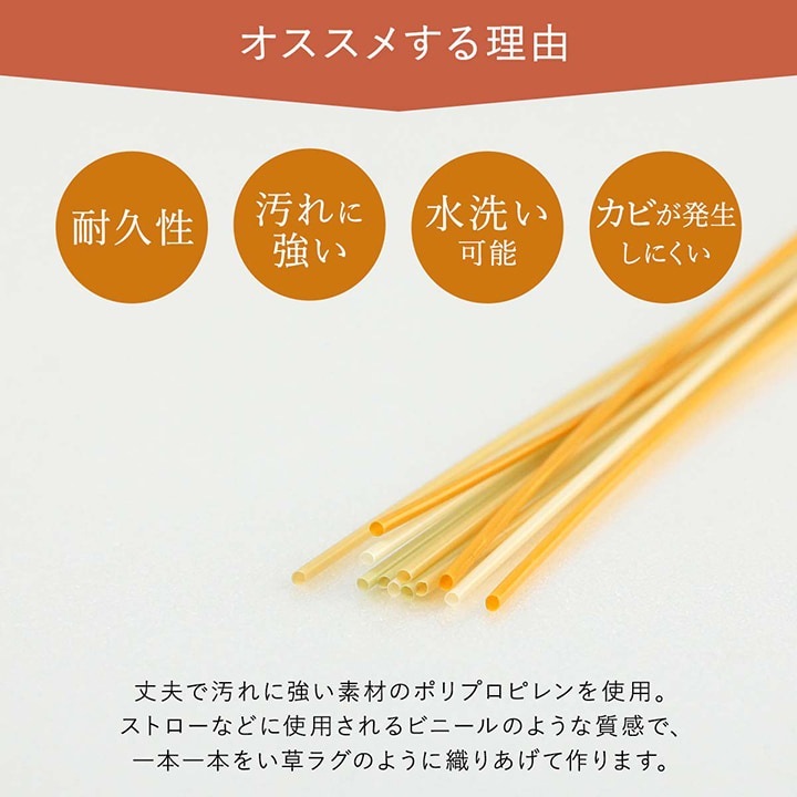 �����ҥ� ������ ���� ������ �� �����ڥå� ���� ���ݥ��ץ졼�б� �ߵ� �饰 ��ʪ �����ȥɥ� �쥸�㡼 �ڥå� ���꡼�� �ܴ�10������477.5��382cm�� 1090580122102��������Բġۡ��̳�ƻ����Υ��������Բġ�-��������-