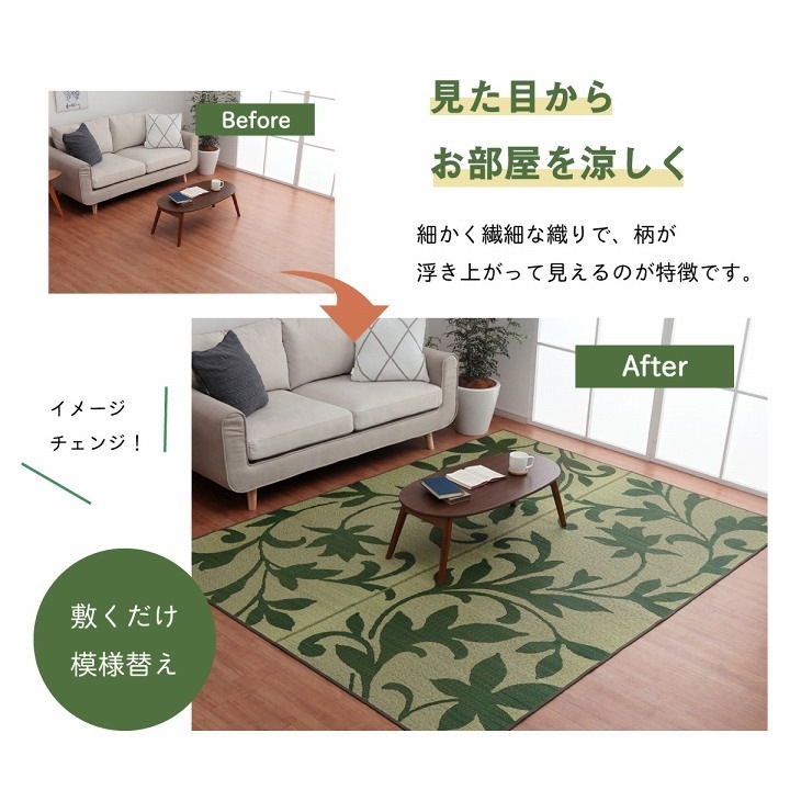 �����ҥ� �饰 Ĺ���� ���� �꡼�� �����Ǻ� �����ɽ� ���ߤ��Կ��� ���졼 ��191��250cm 1060710194304��������Բġۡ��̳�ƻ����Υ��������Բġ�-��������-