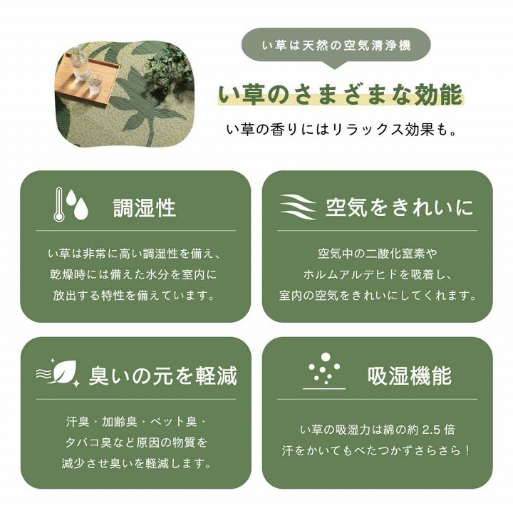 �����ҥ� �饰 Ĺ���� ���� �꡼�� �����Ǻ� �����ɽ� ���ߤ��Կ��� ���졼 ��191��250cm 1060710194304��������Բġۡ��̳�ƻ����Υ��������Բġ�-��������-