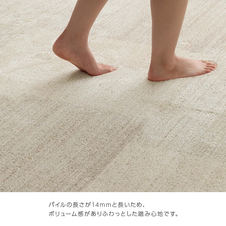 �����ҥ� �����ڥå� ������ȥ󥫡��ڥå� �ۥ磻�ȥ���ƥꥢ �֥��å��� �١����� ��160��230cm 1321620020401��������Բġۡ��̳�ƻ����Υ��������Բġ�-��������-