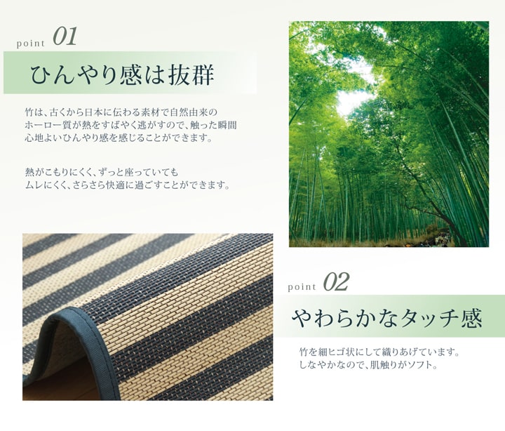 �����ҥ� �ޥ�󥹥ȥ饤�� �ݥ饰�����ڥå� ��DX������ �֥롼 ��180��240cm 1100120044621��������Բġۡ��̳�ƻ����Υ��������Բġ�-��������-