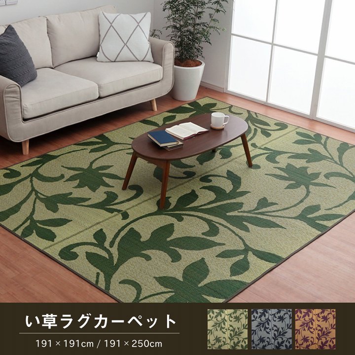 �����ҥ� �饰 Ĺ���� ���� �꡼�� �����Ǻ� �����ɽ� ���ߤ��Կ��� �磻�� ��191��250cm 1060710284304��������Բġۡ��̳�ƻ����Υ��������Բġ�-��������-