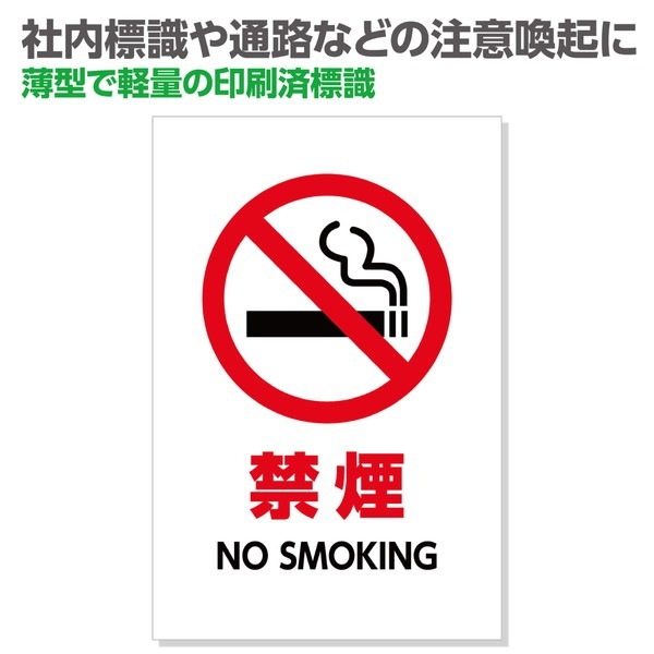 ARTEC �����ƥå� ɸ�����ر쎣 450��300��1mm ����¾ 36578 �ڥ���󥻥��Բġ��̳�ƻ����Υ�������Բġ�-��������-