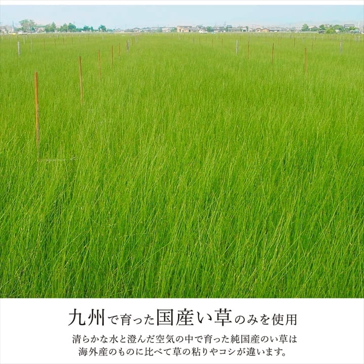 �����ҥ� �����ڥå� ���� ������ �� �ߵ� �饰 ��ʪ �ʥ����륹������ ���� �ý� �����ɽ� �ɱ� �Ծ� �֥饦�� ���ʹ�6������261��352cm�� 1080380060602��������Բġۡ��̳�ƻ����Υ��������Բġ�-��������-