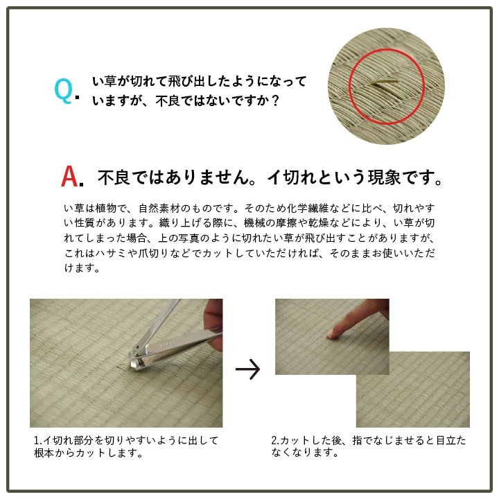 �����ҥ� ���� �� �����Ǻ� �����ڥå� �饰 ����ƥꥢ ���� ���� ̵�� �ä��� �������� ����ץ� ���å������ ���꡼�� ��190��190cm 1070811123211��������Բġۡ��̳�ƻ����Υ��������Բġ�-��������-
