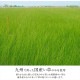 �����ҥ� �����ڥå� ���� ������ �� �ߵ� �饰 ��ʪ �ʥ����륹������ ���� �ý� �����ɽ� �ɱ� �Ծ� �֥�å� ���ʹ�4.5������261��261cm�� 1080380030502��������Բġۡ��̳�ƻ����Υ��������Բġ�-��������-