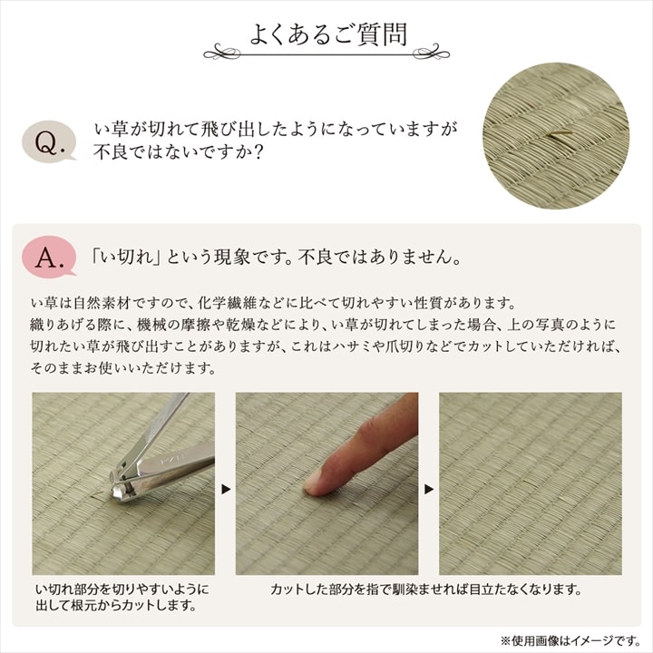 �����ҥ� �����ڥå� ���� ������ �� �ߵ� �饰 ��ʪ �ʥ����륹������ ���� �ý� �����ɽ� �ɱ� �Ծ� �֥饦�� ���ʹ�4.5������261��261cm�� 1080380060502��������Բġۡ��̳�ƻ����Υ��������Բġ�-��������-