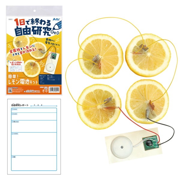 ARTEC アーテック 1日で終わる自由研究キット 簡単!レモン電池 科学工作 58941 【キャンセル不可・北海道沖縄離島配送不可】-お取り寄せ品-