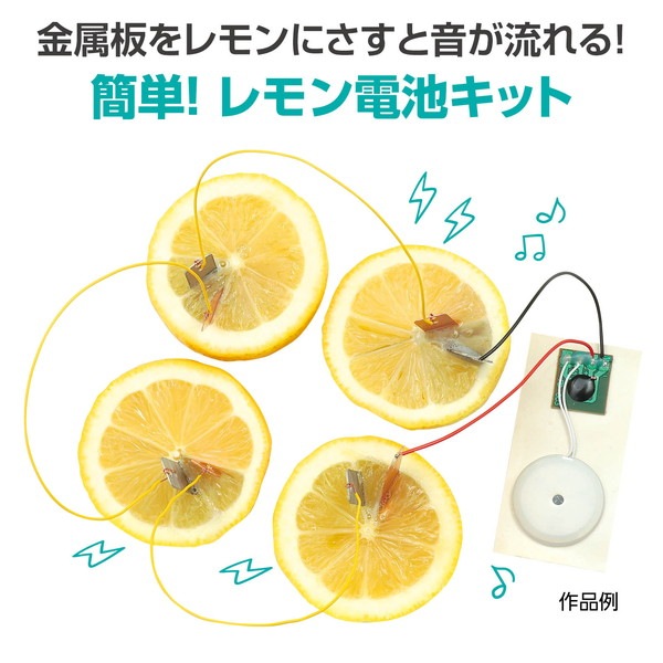 ARTEC アーテック 1日で終わる自由研究キット 簡単!レモン電池 科学工作 58941 【キャンセル不可・北海道沖縄離島配送不可】-お取り寄せ品-