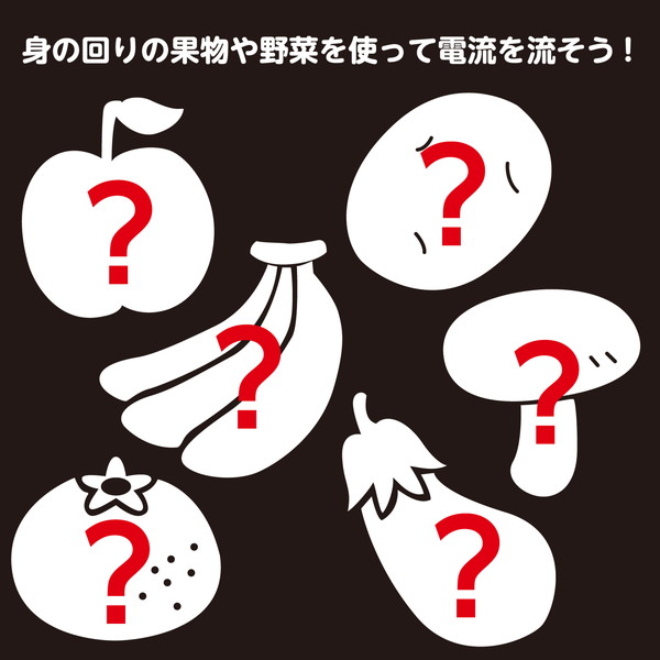 ARTEC アーテック 1日で終わる自由研究キット 簡単!レモン電池 科学工作 58941 【キャンセル不可・北海道沖縄離島配送不可】-お取り寄せ品-