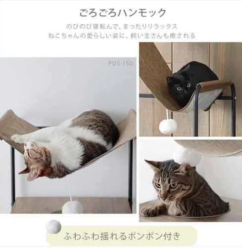 �����ꥹ������� ����åȥ��åǥ�������� �Уգ�-130 �֥饦�� 0501-4967576495394-ds -��������-�ڥ���󥻥��Բġ��̳�ƻ����Υ�������Բġ�