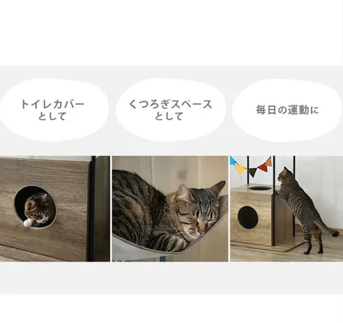 �����ꥹ������� ����åȥ��åǥ�������� �Уգ�-130 �֥饦�� 0501-4967576495394-ds -��������-�ڥ���󥻥��Բġ��̳�ƻ����Υ�������Բġ�