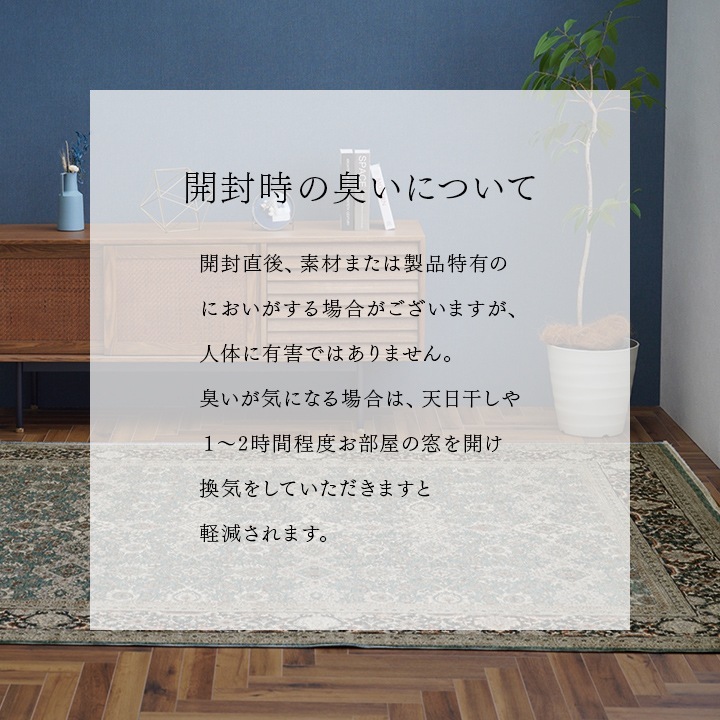 �����ҥ� �����ڥå� �ǥ�����饰 ������ȥ󥫡��ڥå� ���饷�å��� ���饰  �磻�� ��200��300cm 1321700280701��������Բġۡ��̳�ƻ����Υ��������Բġ�-��������-