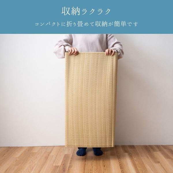 イケヒコ 平原 ベージュ 174×174cm 江戸間2畳 除菌スプレー対応 日本製 g1000902 1090381000902 【代引き不可】【北海道沖縄離島は配送不可】-お取り寄せ品-