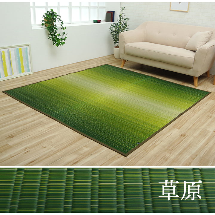 イケヒコ 敷物 花ござ 国産 純国産 日本製 い草 掛川織 モダン 抗菌防臭 自然素材 海 ブルー 江戸間2畳 約174×174cm 1080330040202【代引き不可】【北海道沖縄離島は配送不可】-お取り寄せ品-