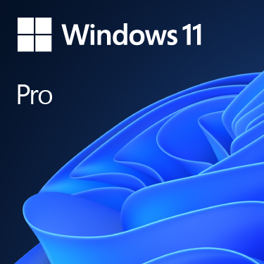 Windows 11 Pro 64bit Jpn DSP DVD USB2.0���ߥܡ��� ���åȸ��� 6501-0889842906004-4943508093814