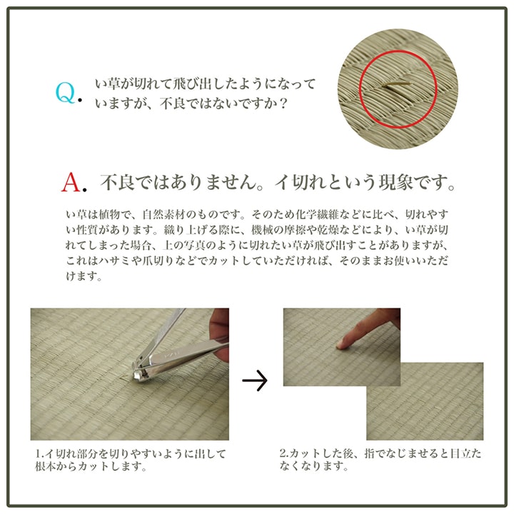 �����ҥ� �饰 Ĺ���� ���� �����Ǻ� ����ץ� �ܡ����� ΢�̤��٤�ߤ��դ� ���ˤ��� �����ɽ� �֥롼 ��3�� ��180��240cm 1070010043911��������Բġۡ��̳�ƻ����Υ��������Բġ�-��������-