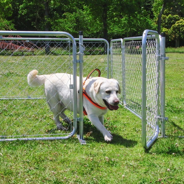 �����ǰ� ����ꥫ��ե��� SF9015 ���ʥ�����56251 ��������������ꎥ����󥻥��ԲĎ��̳�ƻ����Υ�������Բġ� -������-