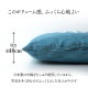 イケヒコ 座布団 洗える 日本製 国産 和室 洋室 銘仙判 夏 ブルー 約55×59cm 1240780012304【代引き不可】【北海道沖縄離島は配送不可】-お取り寄せ品-