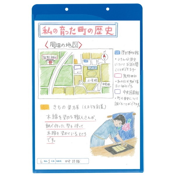 ARTEC �����ƥå� �Ǽ��ۥ���� A4 Ÿ������ ���ю��������ƻ 3703 �ڥ���󥻥��Բġ��̳�ƻ����Υ�������Բġ�-��������-