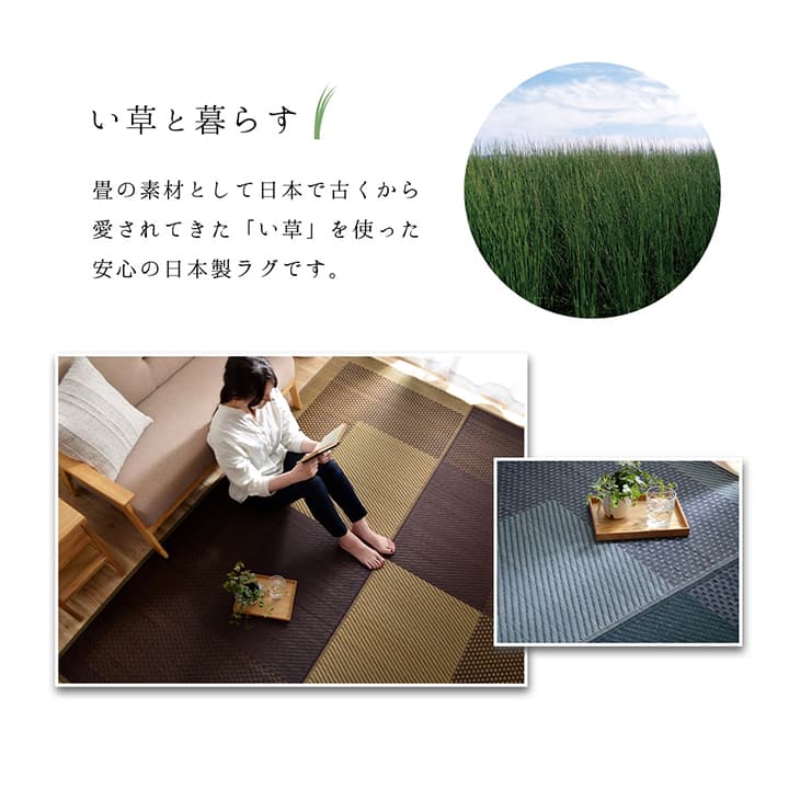 �����ҥ� �饰 Ĺ���� ���� �դä��� ���� ����ץ� �ͥ��ӡ� 191��250cm 1050950193904��������Բġۡ��̳�ƻ����Υ��������Բġ�-��������-